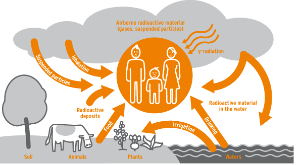 The graphic describes the ways in which radiation can pollute people. These have already been explained in the text.