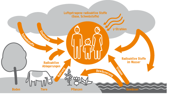 Die Grafik beschreibt die Wege, wie Strahlung die Menschen belasten kann. Diese wurden bereits im Text erklärt.